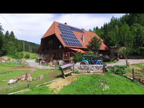 Ferienwohnung Kammererhof  Tennenbronn im Schwarzwald