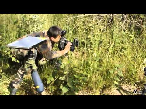 EXPERIENCE Macro Lighting Spider di Nital video backstage mp4   YouTube