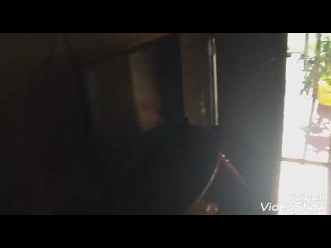 O velho da trollagem foi trollado😮😝😴