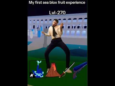 My first sea blox fruit experience.
