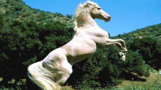 Le cheval blanc  (  Hugues Aufray )