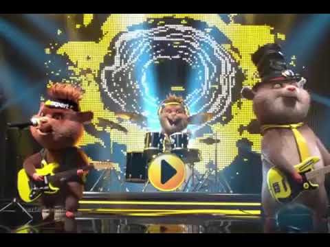 Chomiko inteligencja