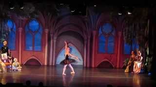 Swan Lake by RAY Theater Premiere in Riverside Church