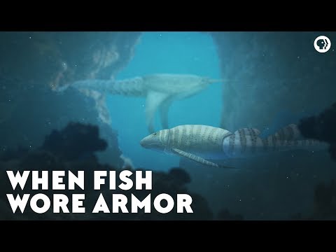 When Fish Wore Armor