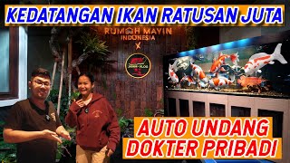 HASIL HUNTING RATUSAN JUTA!!! LANGSUNG UNDANG DOKTER PRIBADI KHUSUS IKAN!!!