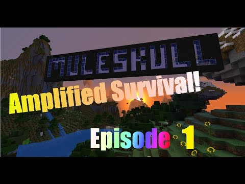 Minecraft - Amplified Survival Ep. 1