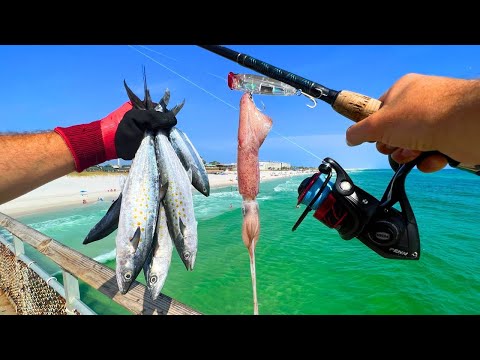 Eating Everything We Catch PIER FISHING - Squid, Shark, Mackerel n' More!