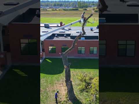 Instagram reel video 6 preview