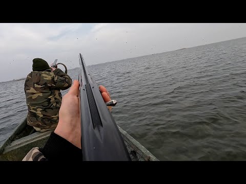 Hunting coots & ducks - The last hunting of this season