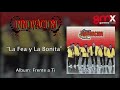 Grupo Innovacion-La Fea Y La Bonita