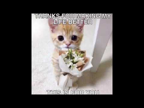 Sorry Mama (Dream DJ Team Edit)