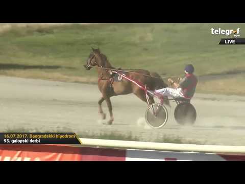95. galopski derbi na Beogradskom hipodromu