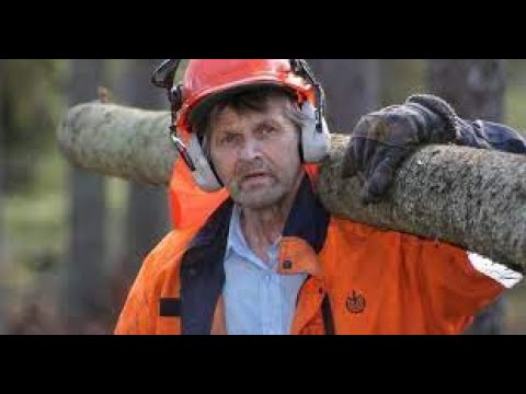 Metsolan Metsäkoulu 168 - Jaakon sahat ja pari vinkkiä alottelevalle metsurille