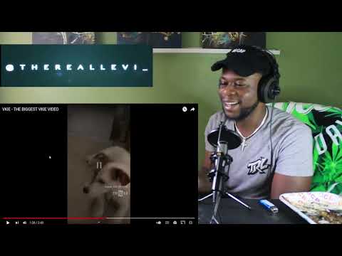 TRL Reaction / Vkie -  The Biggest Vkie (PolishRap)