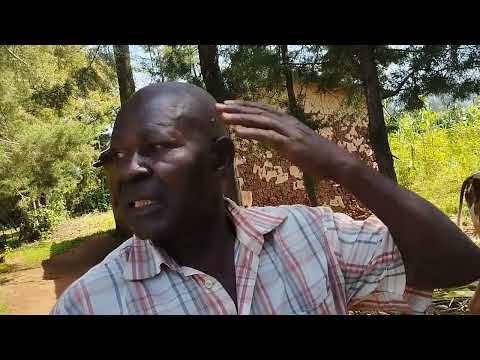 BABU NA WAJUKUU WAKE The Nyamwaya's Family