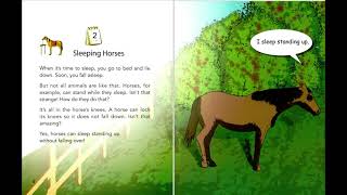 2 Sleeping Horses