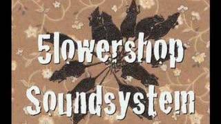 5lowershop SoundSystem Photo Project