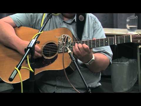 The Kruger Brothers - 'Fields Of Gold'