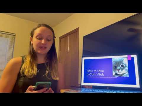 Demonstrative Speech- How to Take a Cats’ Vitals