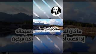 Shorts يالله ما اجمل هذه التلاوة ما كان لله أن يتخذ من ولد سبحانه الشيخ عبدالله كامل