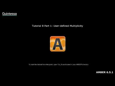 AMBER Tutorial 8 Part 1: User-defined Multiplicity
