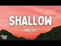 Tommee Profitt - Shallow (Lyrics) Ft. Fleurie Tommee Profitt - Shallow (Lyrics) Ft. Fleurie