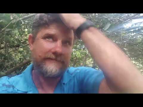 Cachoeira do alto Alegre dos parecis Ro..