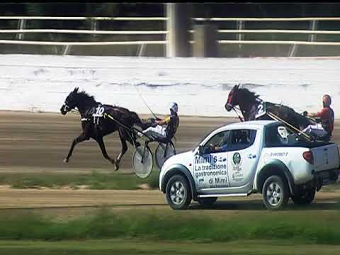 Trotto 14/09/2018 - 2ª corsa