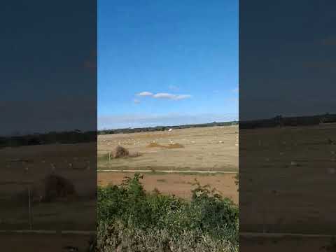 #masaya #nindiri preparando cultivo de verano