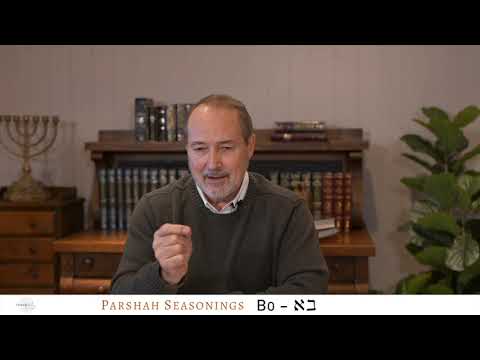 Parshah Seasonings - Bo