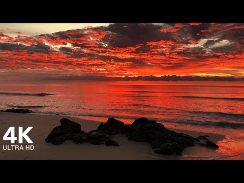 Perfect Sunrise at the Beach with Calming Sound of Waves | 4K Ultra HD