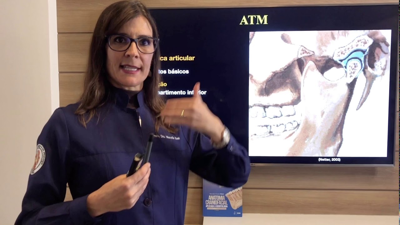 Anatomia da Articulação Temporomandibular (ATM) PARTE 2