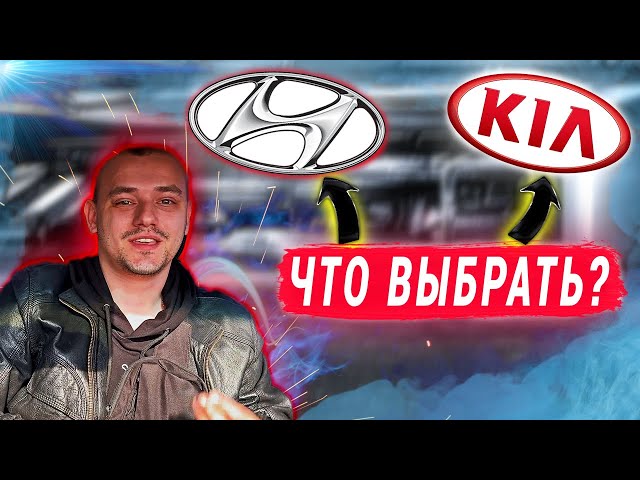 Что Лучше Киа Серато Или Хендай Акцент