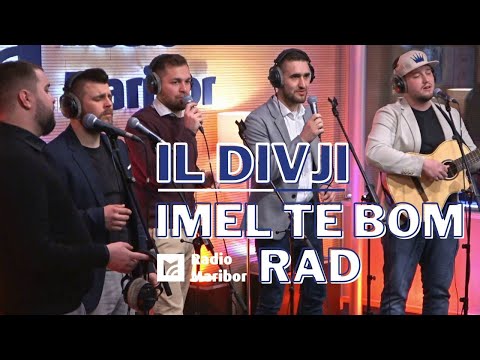 IL DIVJI - Imel te bom rad