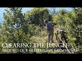 Clearing The Jungle Around Our Old Italian Farmhouse 7