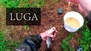 Рыбалка на реке луге весной лен обл