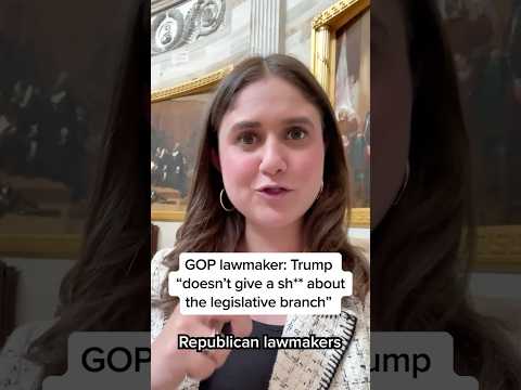 GOP lawmaker: Trump 'doesn't give a sh** about the legislative branch'