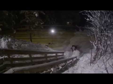 Torstein Horgmo and Mark McMorris