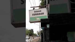 Download lagu Bunga seroja mp3 Download lagu Bunga seroja mp3