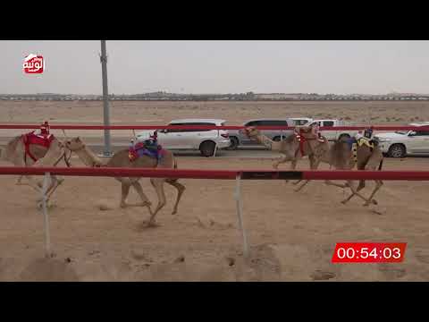  ش 11 (الشاهينيه) لـ مبارك سعيد بن سيف الشامسي 2:05 , شارة الصندوق 2026/04/04 فطامين سويحان