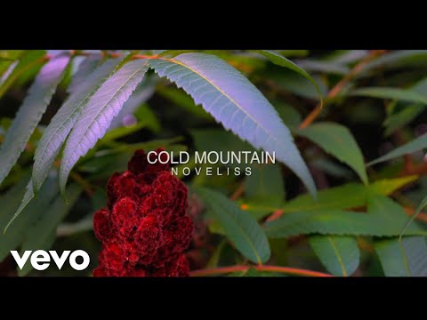 Noveliss, Dixon Hill - Cold Mountain