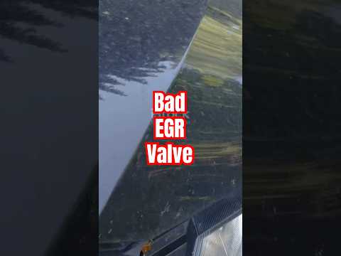 Bad EGR Valve Symptoms? Watch This!