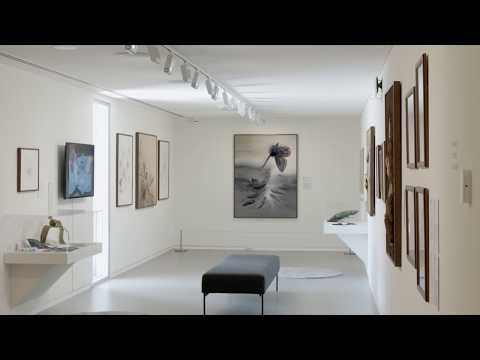 Exhibition Feature: The Art of Annemieke Mein