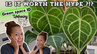 Green Space ID Review | Unboxing 📦 Is It Worth the HYPE ! || A girl with a garden