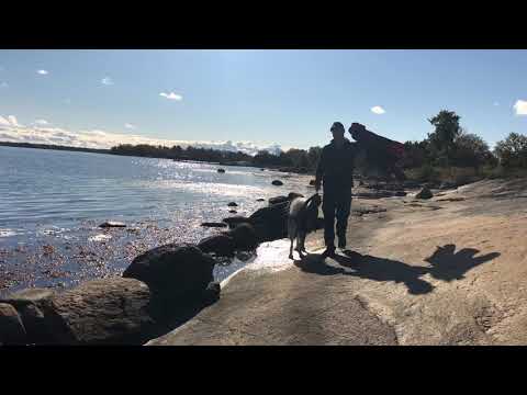 Vandring i Almö naturreservat