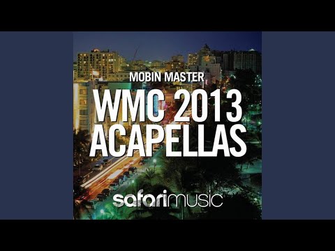 Work Money Party Bitches (Mobin Master vs Tate Strauss Acapella Tool)