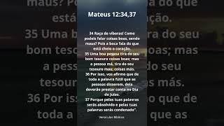 Louvado seja o nosso Senhor Jesus Cristo.   Mateus Capítulo 12 Versículos 34,35,36,37