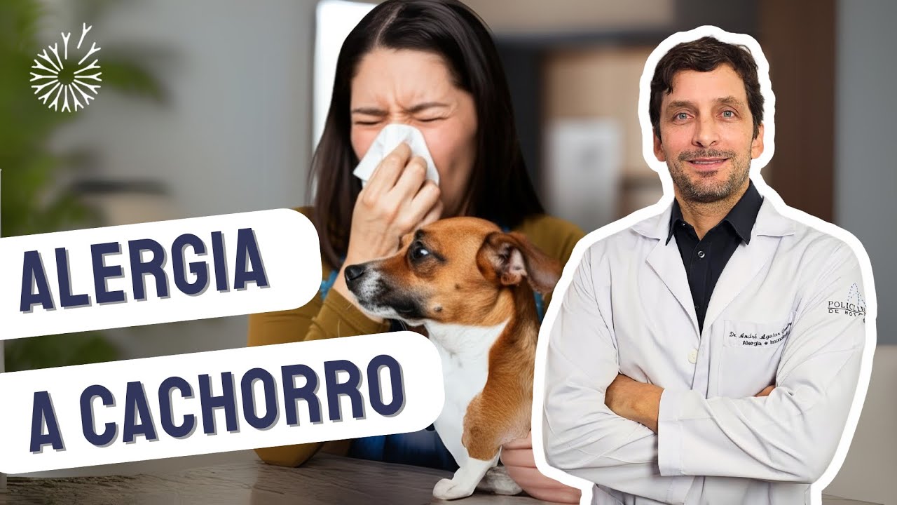 Andre Aguiar Gauderer-37