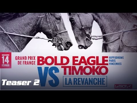 La revanche Bold Eagle VS Timoko #GPFrance - Teaser 2