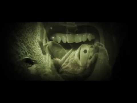 Zebrahead – Who Brings a Knife to a Gunfight (Official Video)